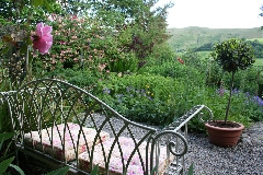 Bench view